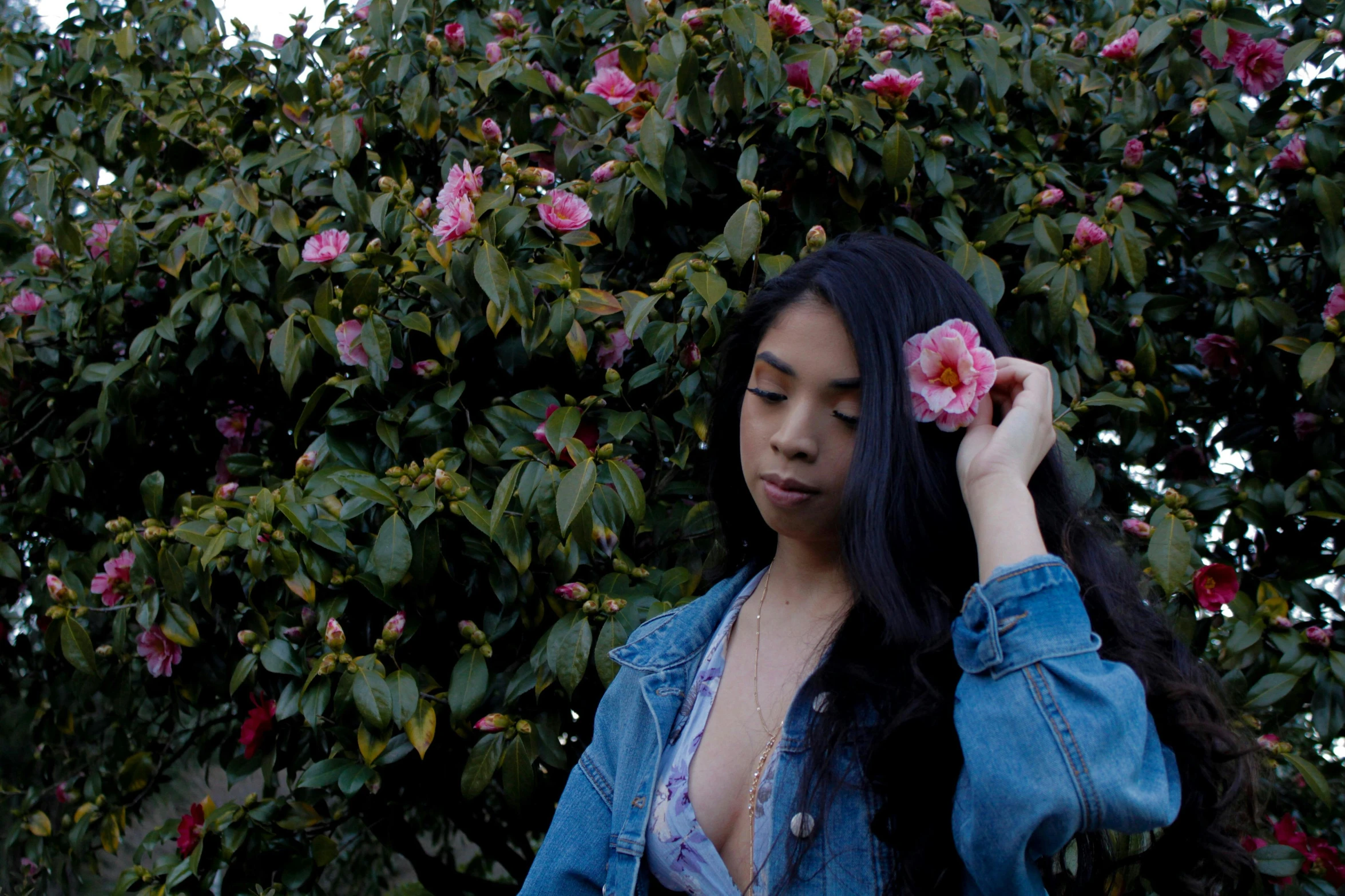 a woman with a flower in her hair, an album cover, by Robbie Trevino, unsplash, wearing a jeans jackets, mai anh tran, rose garden, tessa thompson inspired