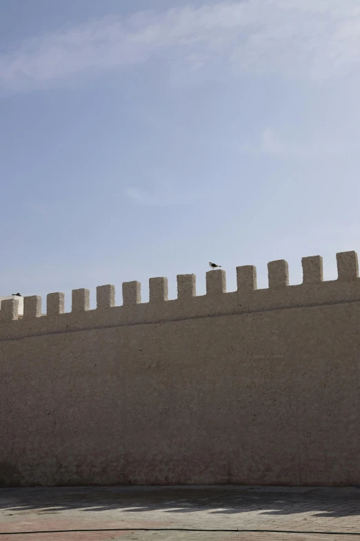 a brick wall with a bird sitting on top of it, les nabis, citadel of erbil, sleek spines, white wall, fencing