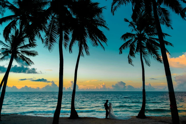 a bride and groom on the beach at sunset, pexels contest winner, coconut trees, thumbnail, rectangle, slim aarons