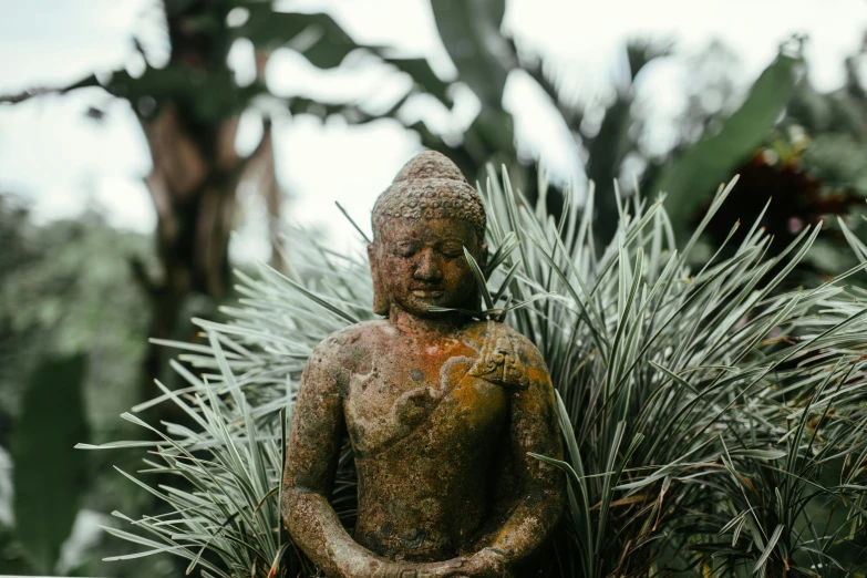 a statue sitting on top of a lush green plant, unsplash, sumatraism, health spa and meditation center, earthy colours, фото девушка курит, battered