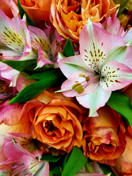 a close up of a bouquet of flowers, pink and orange, lilies, breathtaking quality, award winning