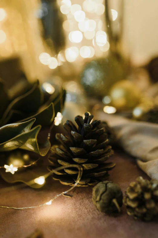 a couple of pine cones sitting on top of a table, a still life, unsplash, fairy lights, green and warm theme, fully decorated, subtle detailing