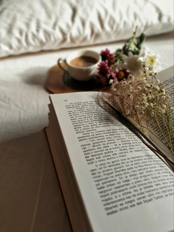 an open book sitting on top of a bed next to a cup of coffee, by Lucia Peka, pexels contest winner, romanticism, gypsophila, brown and cream color scheme, taken on iphone 14 pro, gif