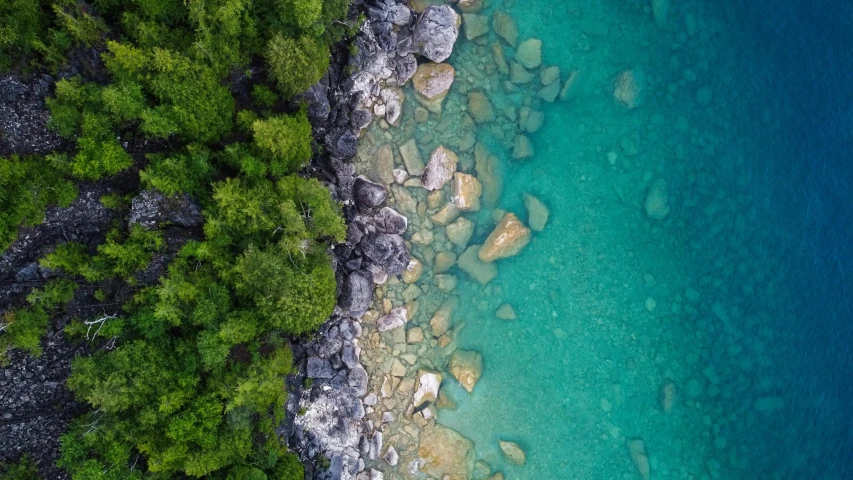 a large body of water next to a forest, a picture, by Chris Rallis, unsplash contest winner, carribean turquoise water, close-up from above, rocky seashore, abel tasman