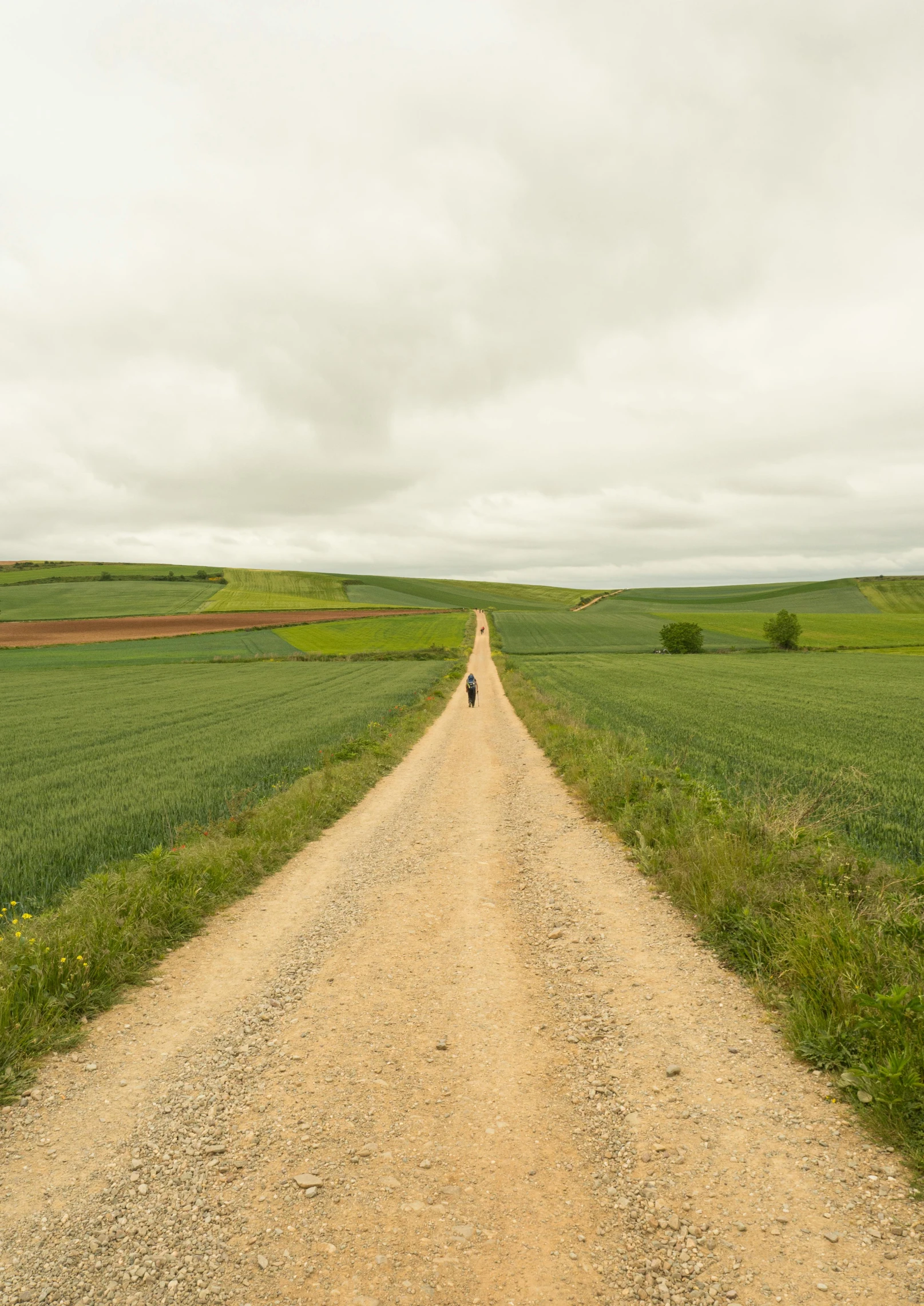 a person walking down a dirt road on a cloudy day, patches of green fields, in spain, college, award - winning photo ”