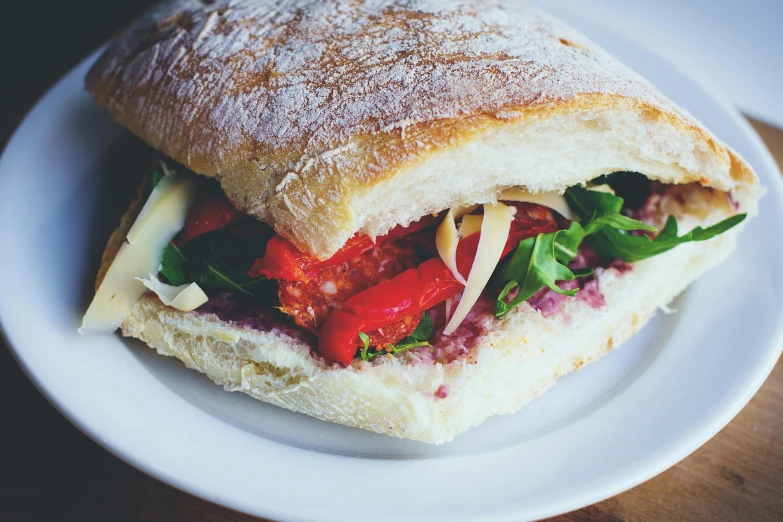 a close up of a sandwich on a plate, pexels contest winner, renaissance, italian looking emma, maroon, summer light, square