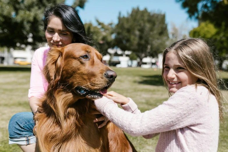 two girls petting a dog in a park, pexels contest winner, manuka, clifford the big red dog, close portrait, brown