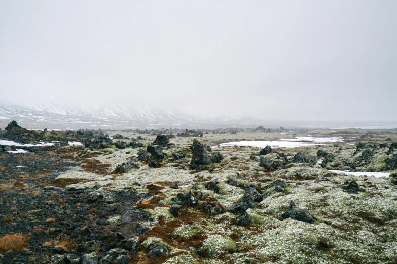 a group of rocks sitting on top of a lush green field, by Hallsteinn Sigurðsson, snow wasteland, under a gray foggy sky, algae, iron smelting pits