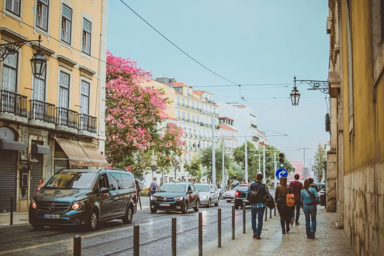 a group of people walking down a street, by Matija Jama, pexels contest winner, happening, lisbon, flowers around, 🚿🗝📝