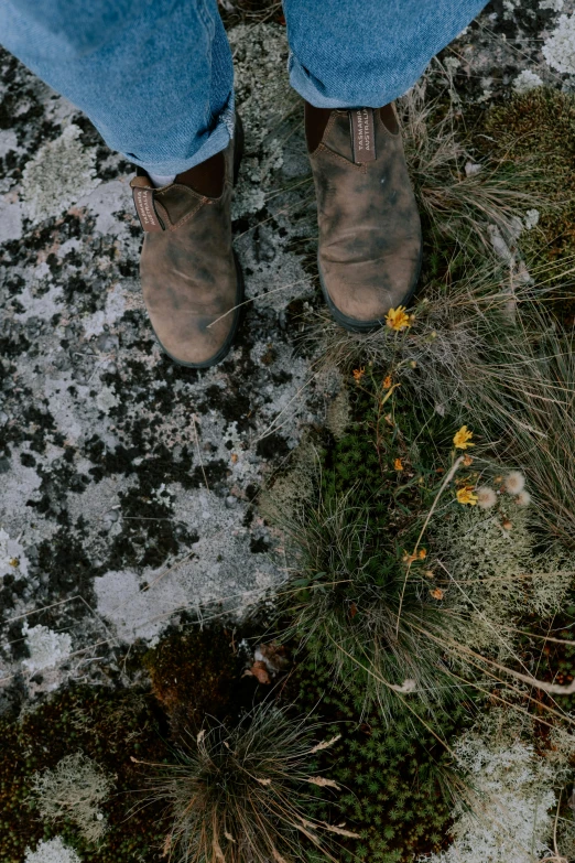 a person standing on top of a snow covered ground, an album cover, by Jessie Algie, trending on unsplash, land art, moss and flowers, cowboy boots, lichens, background image