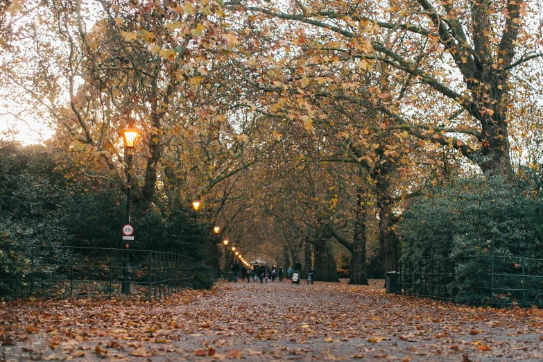 a group of people walking down a leaf covered street, by Emma Andijewska, pexels contest winner, london, park background, greek, seasons!! : 🌸 ☀ 🍂 ❄