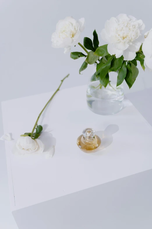 a vase filled with white flowers sitting on top of a table, perfume bottle, on white paper, product display, detail shot