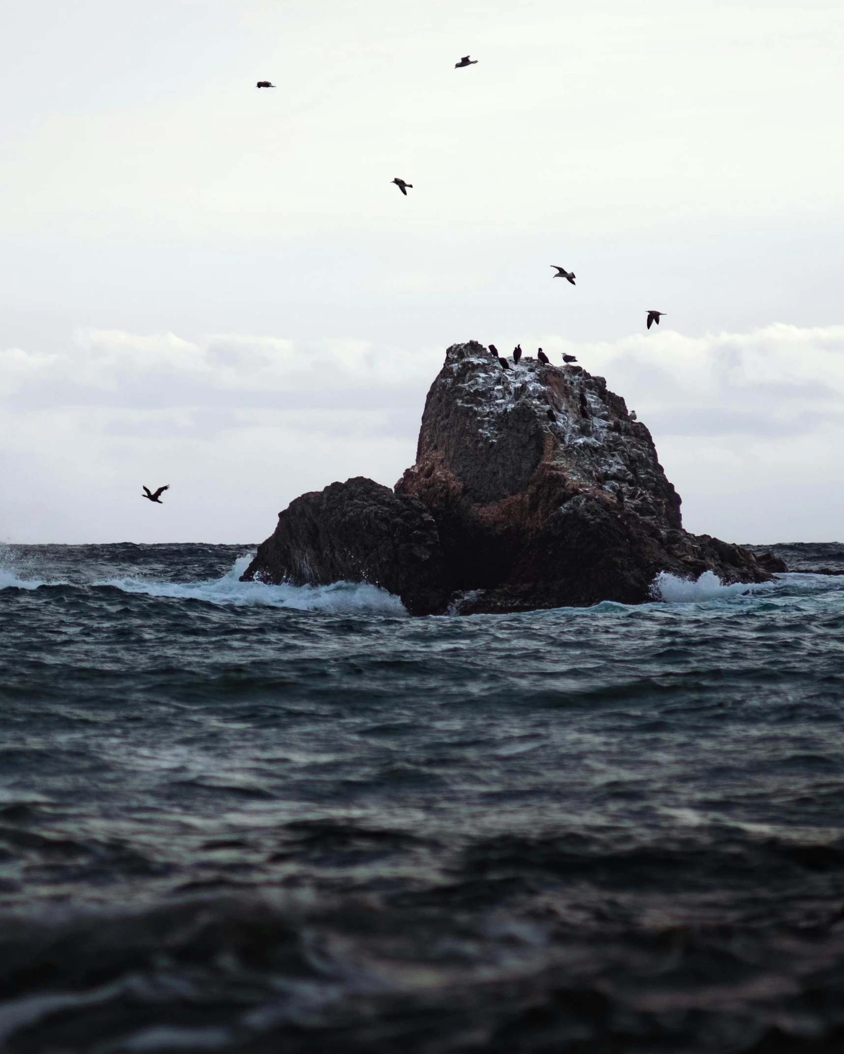 a group of birds flying over a body of water, by Roar Kjernstad, unsplash contest winner, romanticism, big sharp rock, rough seas, low quality photo, an island