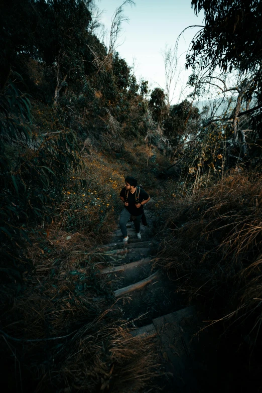 a person walking down a path in the woods, an album cover, unsplash contest winner, coming down the stairs, dark jungle, hillside, cinematic outfit photo