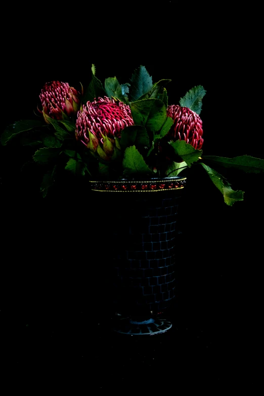 a close up of a vase with flowers in it, inspired by Robert Mapplethorpe, hyperrealism, black backdrop, crown of giant rubies, product display photograph, dramatic lighting - n 9