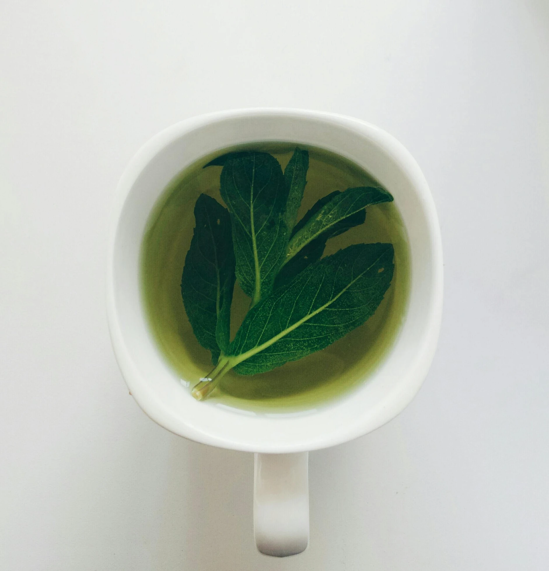 a cup of green tea with a leaf in it, pexels, marina abramovic, made of liquid, 2019 trending photo, salvia droid