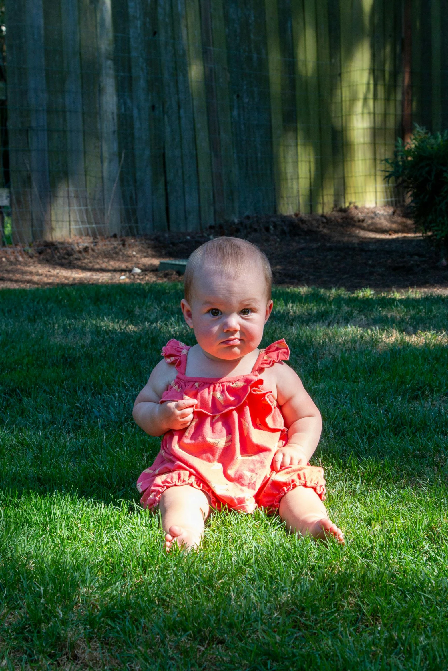 a baby sitting in the grass with a frisbee, by Dave Melvin, photorealism, 8k 50mm iso 10, beautiful grumpy girl, sunburn, in the yard