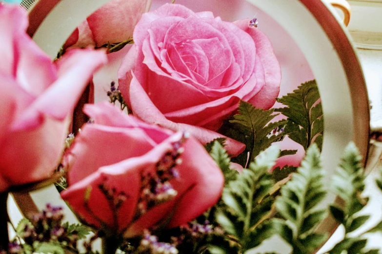 a close up of a pink rose in a mirror