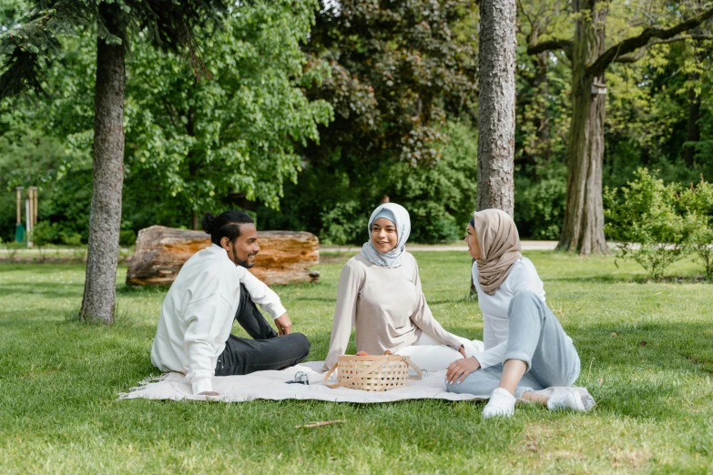 a group of people sitting on top of a grass covered field, pexels contest winner, hurufiyya, having a picnic, white hijab, park on a bright sunny day, flirting