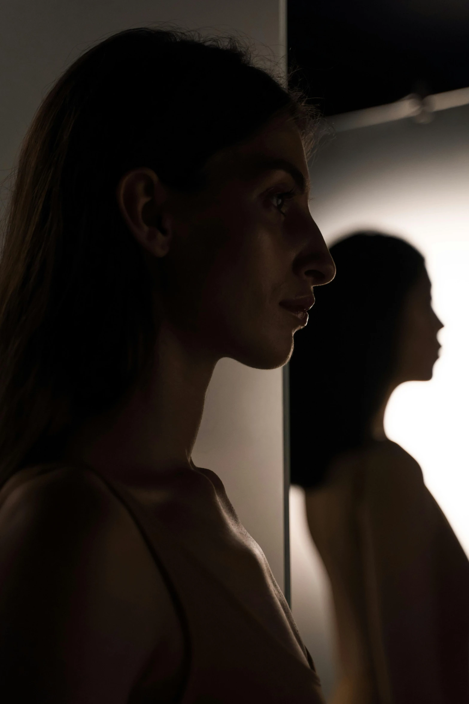 a couple of women standing in front of a mirror, inspired by Nan Goldin, pexels contest winner, hyperrealism, silhouette!!!, profile portrait of a woman, ( ( theatrical ) ), portrait 8 k