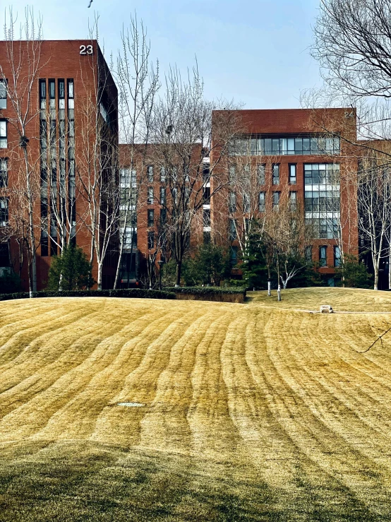 a large brown building sitting on top of a lush green field, by Jang Seung-eop, only snow in the background, beijing, university, phone photo