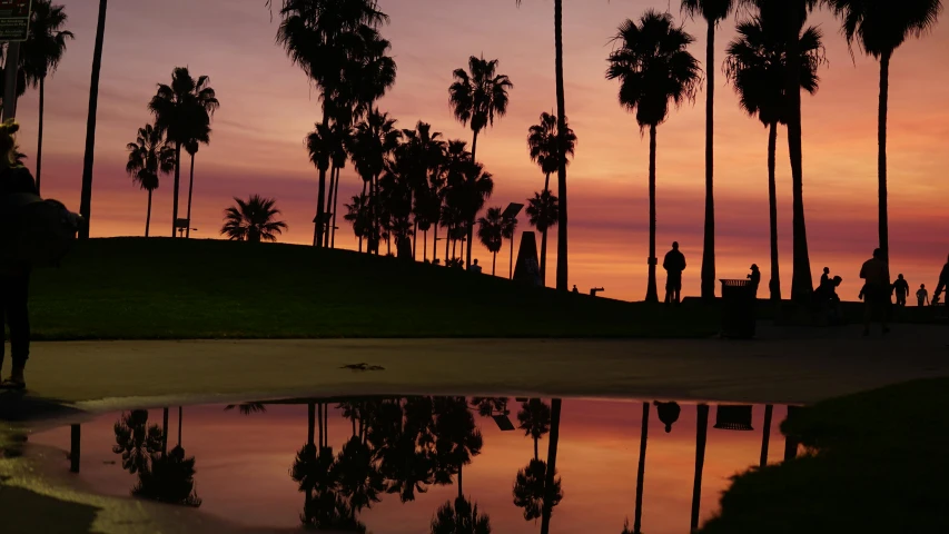 a person standing next to a puddle of water with palm trees in the background, by Andrew Allan, ((sunset)), a park, peter hurley, iconic scene