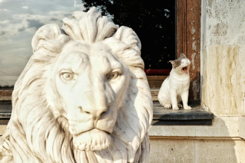 a cat sitting next to a statue of a lion, a marble sculpture, by Emma Andijewska, pexels contest winner, pareidolia, white, wes anderson film, in front of the house