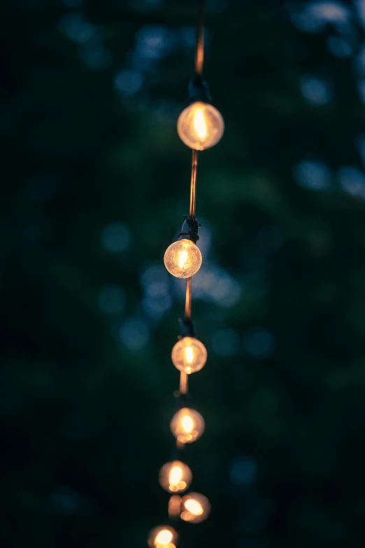 a string of lights hanging from a tree, a picture, unsplash, light and space, low detail, laura watson, flirting, retro lights