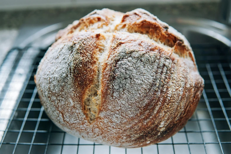 a loaf of bread sitting on a cooling rack, a portrait, unsplash, round format, sparkling, arched back, whole-length