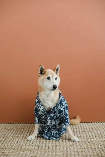 a dog sitting on the floor wearing a shirt, inspired by Shiba Kōkan, unsplash, renaissance, wearing a hawaiian dress, indigo, palm, 15081959 21121991 01012000 4k