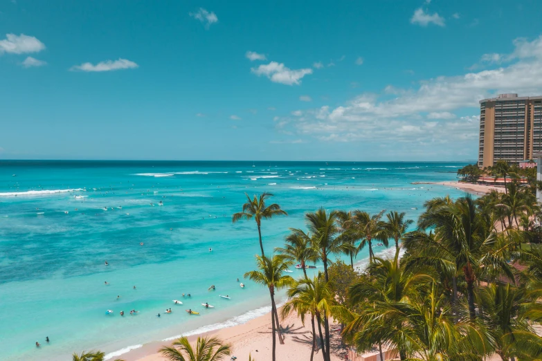 a beach with palm trees and people swimming in the ocean, pexels contest winner, waikiki beach, brown and cyan blue color scheme, overlooking the ocean, a cozy