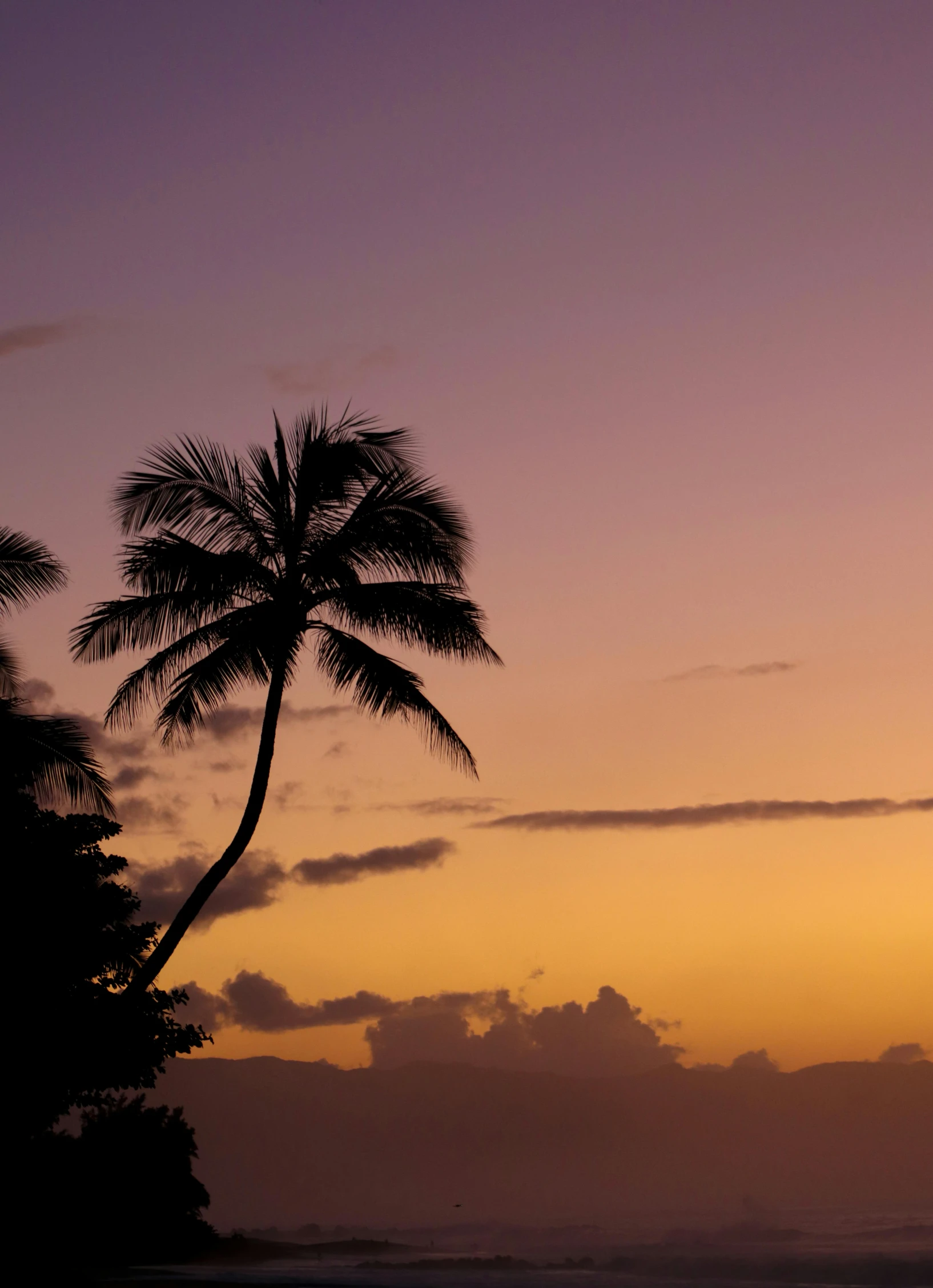 a couple of palm trees sitting on top of a beach, during a sunset