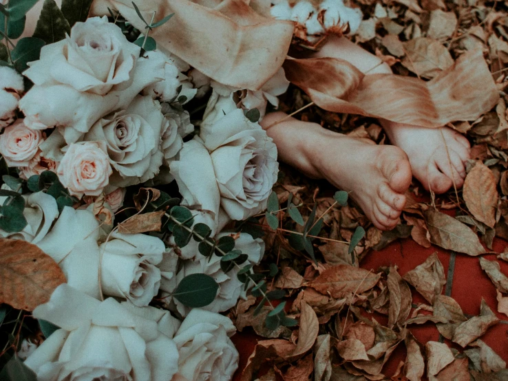 a close up of a person's feet surrounded by flowers and leaves, an album cover, inspired by Elsa Bleda, pexels contest winner, aestheticism, laying on roses, dead bodies, ivory and copper, beautiful girls