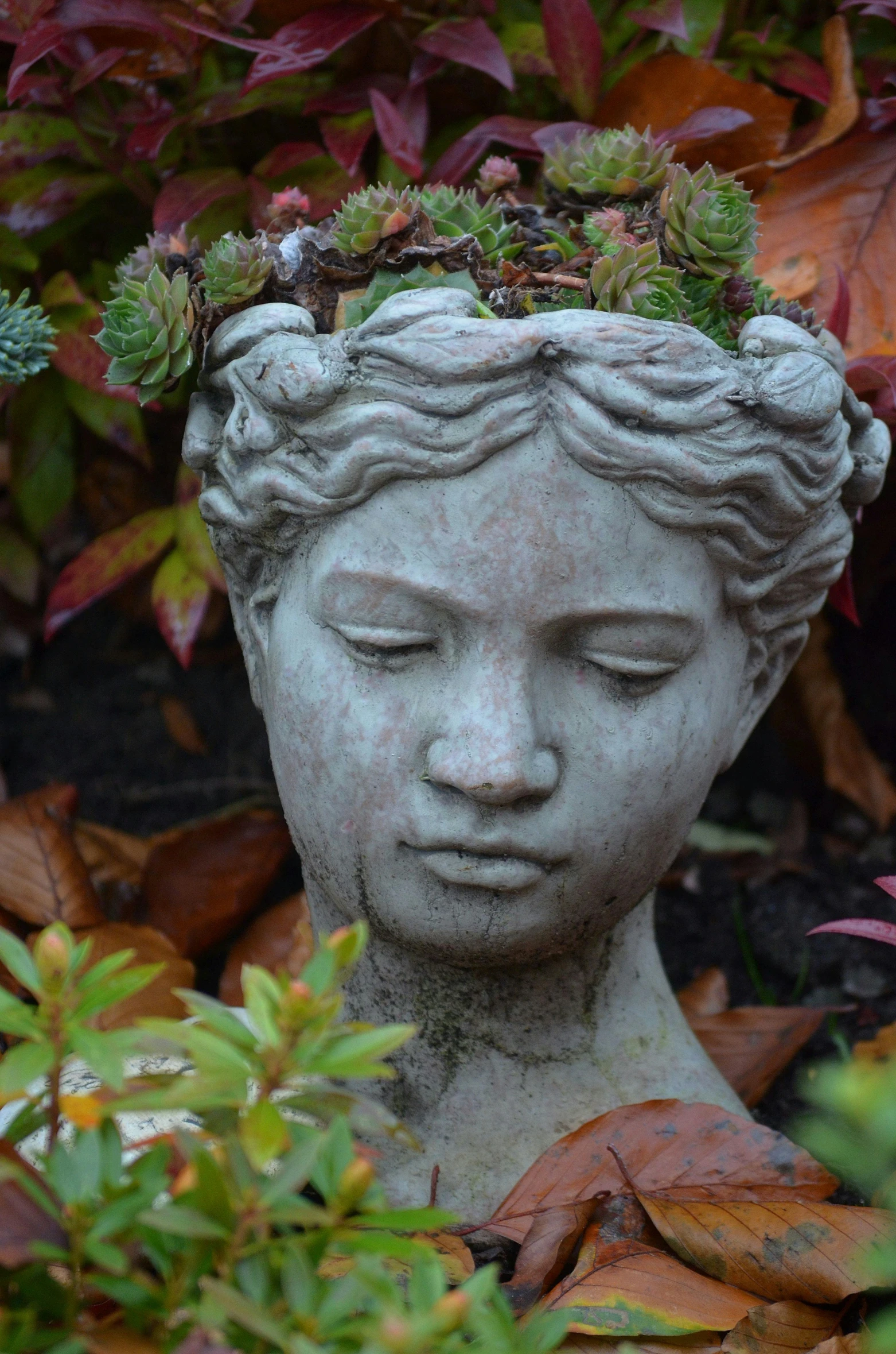 a statue of a woman with a plant in her head, serene expression, autumnal empress, celestial gardens, small head