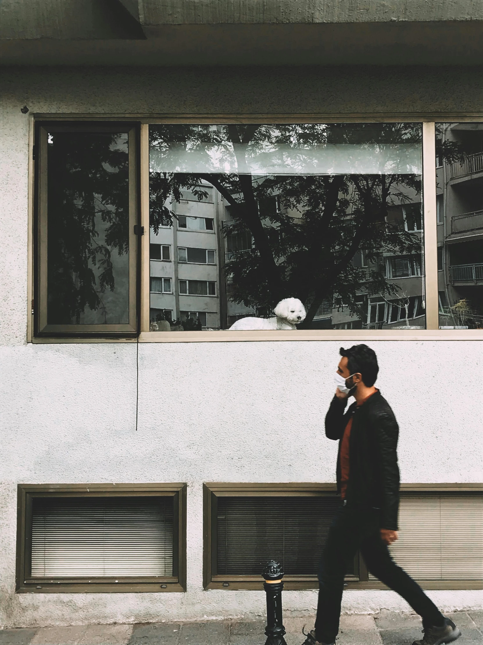 a man walking down a sidewalk talking on a cell phone, unsplash contest winner, postminimalism, near a window window, ( ( bauhaus ) ), subject: dog, white buildings