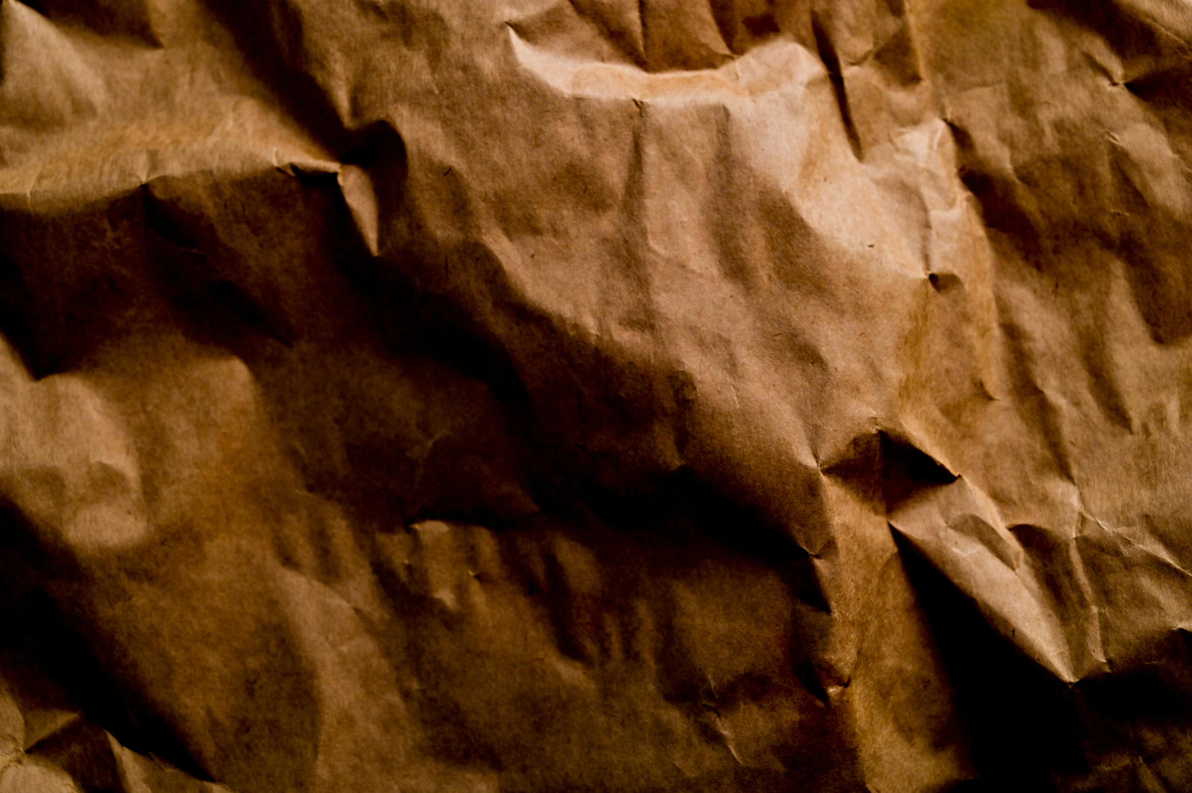 a close up of a piece of brown paper, by Peter Churcher, pexels contest winner, visual art, cooked, brown background, caramel. rugged, light brown