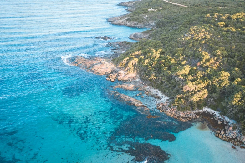 a large body of water next to a lush green hillside, pexels contest winner, australian beach, light blue water, flying rocky island, warm glow