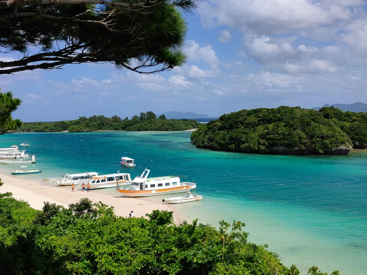 a group of boats sitting on top of a sandy beach, shin hanga, lush surroundings, ja miyazaki, fan favorite, tropical location