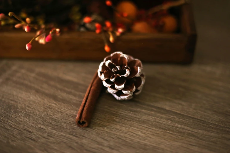 a pine cone sitting on top of a wooden table, cinnamon, etsy, adornments, dark sienna and white