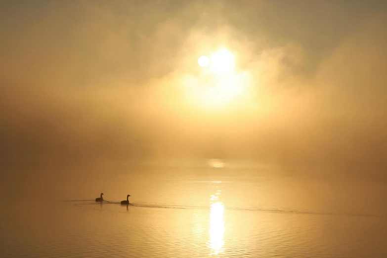 a couple of people in a boat on a body of water, by Ian Fairweather, pexels contest winner, romanticism, yellow volumetric fog, two suns, gooses, 2022 photograph