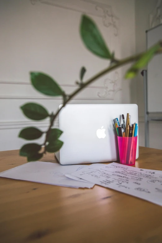 a laptop computer sitting on top of a wooden table, by Jessie Algie, pexels contest winner, visual art, colored marker, pink bonsai tree, documents, pencils