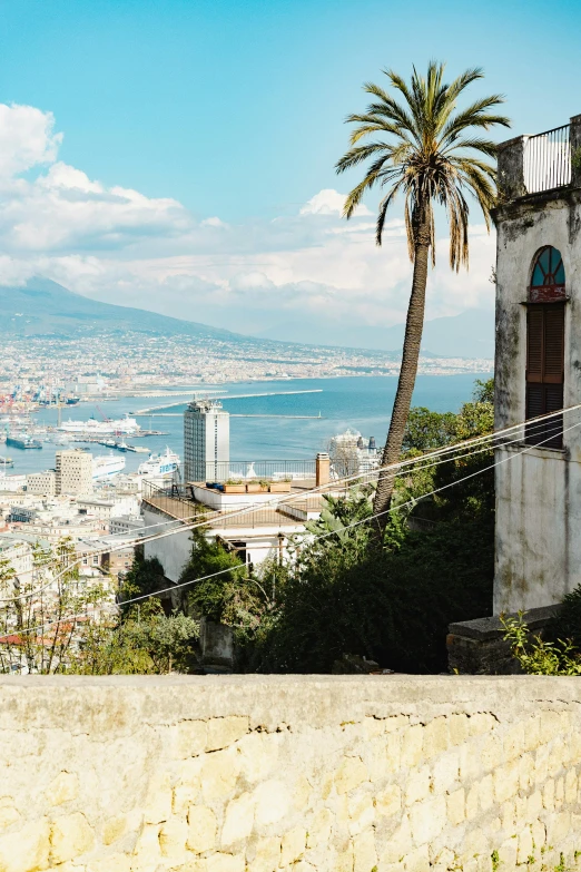 a view of a city from the top of a hill, a palm tree, gulf of naples, brutalist buildings tower over, mountains and ocean