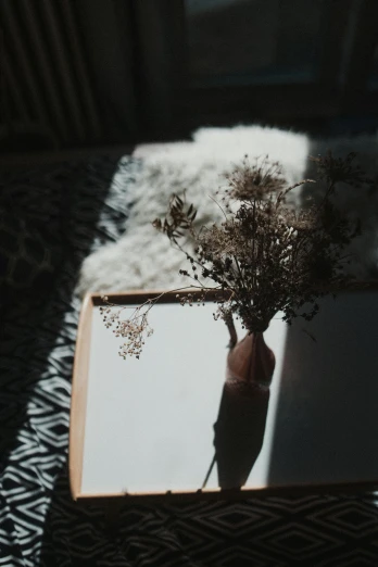 a person holding a flower in front of a book, a polaroid photo, inspired by Elsa Bleda, visual art, reflections on a glass table, dried fern, cinematic shot ar 9:16 -n 6 -g, low quality photo