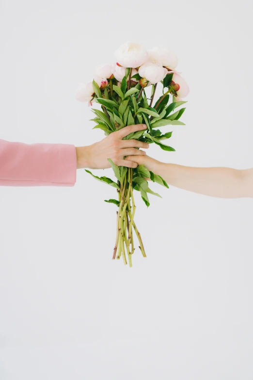 a person handing a bunch of flowers to another person, rose quartz, set against a white background, lightly dressed, reaching out to each other