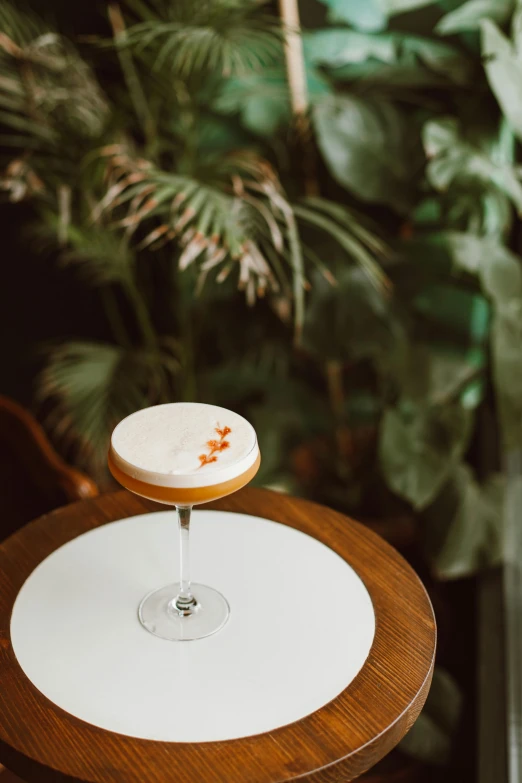 a glass of wine sitting on top of a wooden table, birds of paradise, cocktail bar, white and orange, botanicals