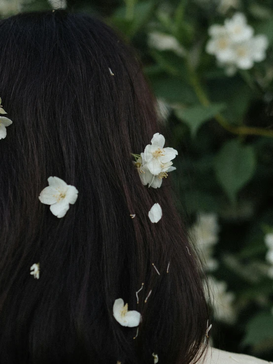 a woman with white flowers in her hair, trending on unsplash, with long dark hair, dark. no text, low quality photo, made of flowers
