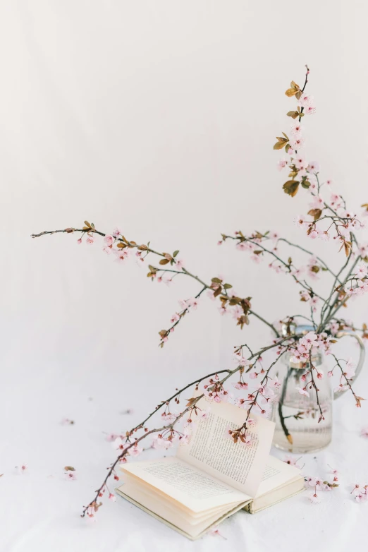 a book sitting on top of a table next to a vase filled with flowers, inspired by Kanō Shōsenin, trending on unsplash, minimalism, sakura trees, in front of white back drop, pose 4 of 1 6, overhanging branches