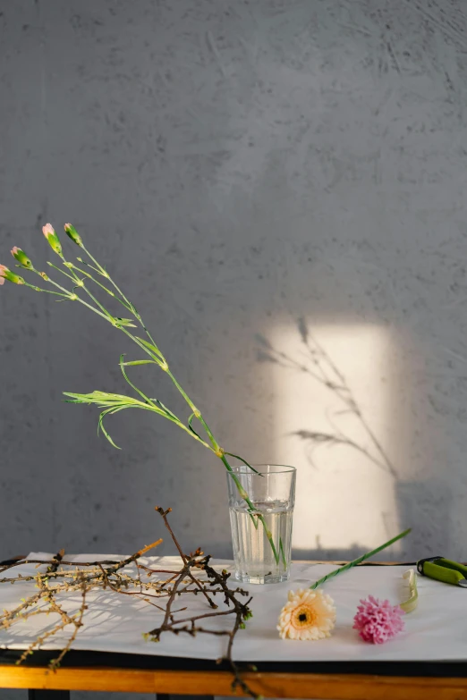 a vase filled with flowers sitting on top of a table, a still life, unsplash, light and space, willow plant, light refraction, ignant, cast shadows