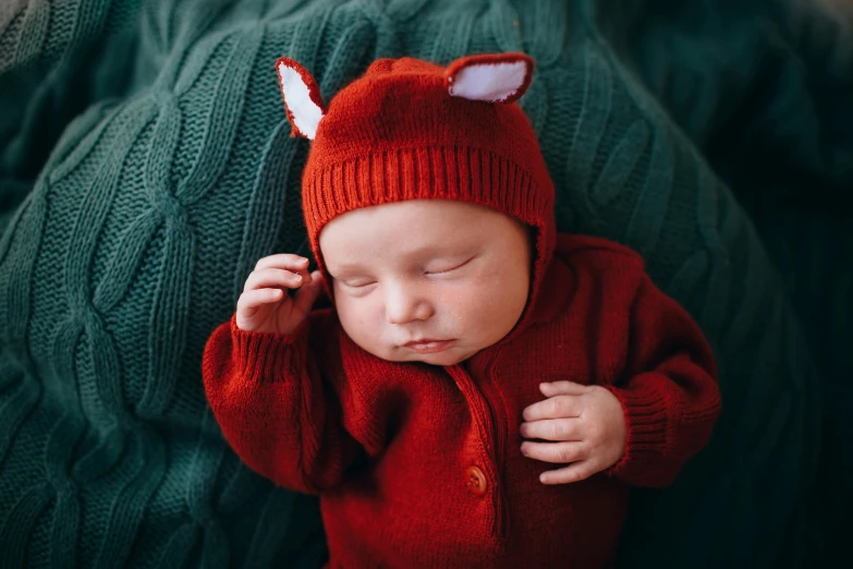 a baby wearing a red sweater and a fox hat, inspired by Anne Geddes, pexels contest winner, symbolism, asleep, lachlan bailey, portrait of small, avatar image