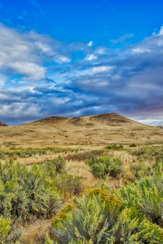a field with bushes and a mountain in the background, by Dave Melvin, black mesa, 4k panoramic, afar, hdr on